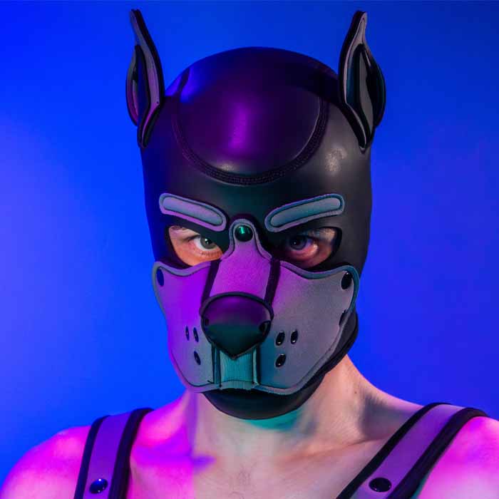 Photograph of Pup Max.